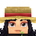 Previous skin